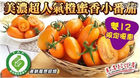 【產地直送】美濃超人氣橙蜜香小番茄(5斤±10%/箱)