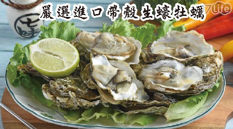 韓國進口冷凍生蠔牡蠣1000g 17life生活電商 韓國進口冷凍生蠔牡蠣1000g 17life生活電商