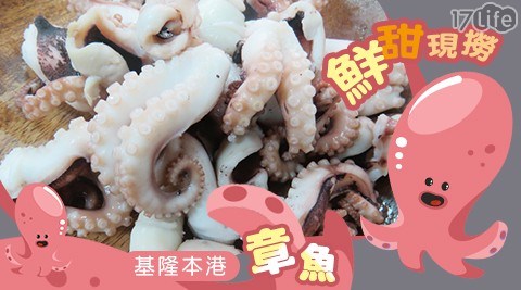 基隆本港鮮甜現撈章魚