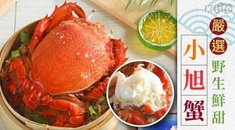 å´é¸éçé®®çå°æè¹/èè¹/æµ·é®®/è¹