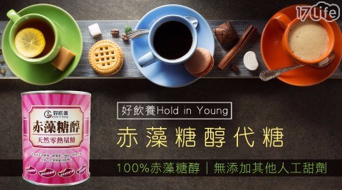【好飲養Hold in Young】赤藻糖醇代糖(600公克/罐)