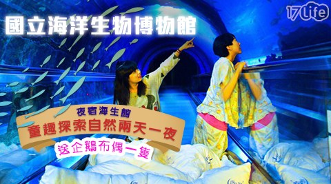 國立海洋生物博物館-夜宿海生館！童趣探索海洋兩天一夜