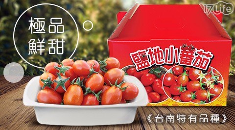 極品鮮甜鹽地帥哥番茄禮盒(5斤±10%/盒)