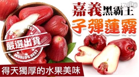 產地直出【嘉義黑霸王】爆甜子彈蓮霧 1盒 共 產地直出【嘉義黑霸王】爆甜子彈蓮霧 1盒 共