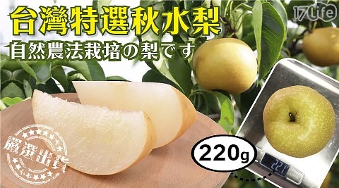 【天天蔬果】台灣特選秋水梨禮盒 1盒 共
