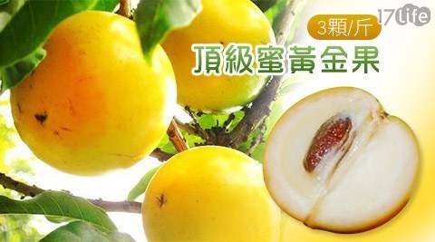 【果之蔬】頂級蜜黃金果(3-4顆/斤),共