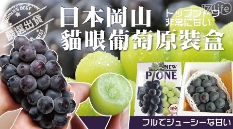 【NEW PIONE】日本空運!岡山無籽貓眼葡萄禮盒(原裝)，共