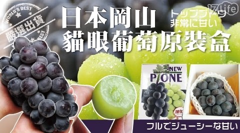 【NEW PIONE】日本空運!岡山無籽貓眼葡萄禮盒(原裝),共