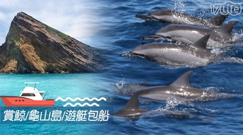 賞鯨烏石傳奇號-乘風遨遊大海~尋訪鯨豚
