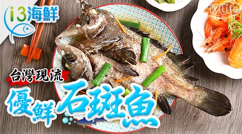 【愛上海鮮】台灣優鮮現流石斑魚(550g±10%/尾)