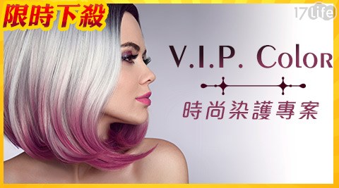 V.I.P. Color-時尚染護專案