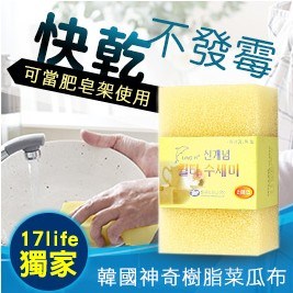 限時下殺~韓國神奇魔術樹脂菜瓜布