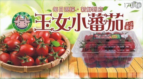 太保農會-玉女蕃茄 600g/盒