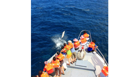 電子票/電子券/電子票券/3TGDS/隨買即用/立即出票