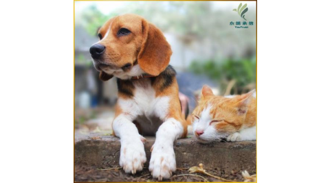 【永諾承信】圓融關懷計畫(MO25)