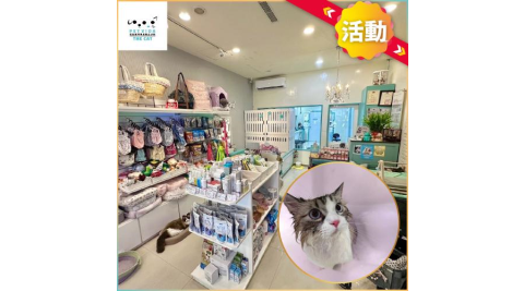 活動！台北【PetVida The Cat 薇達貓咪專屬精品沙龍】1000元商品&課程通用券加贈花舞碳酸泡泡浴 (MO)