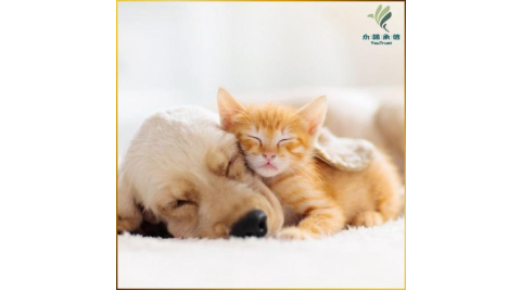 【永諾承信】永諾關懷計畫(MO25)