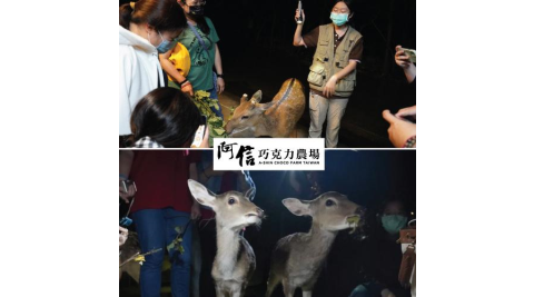 墾丁【阿信巧克力農場】–夜探梅花鹿活動券 (MO)