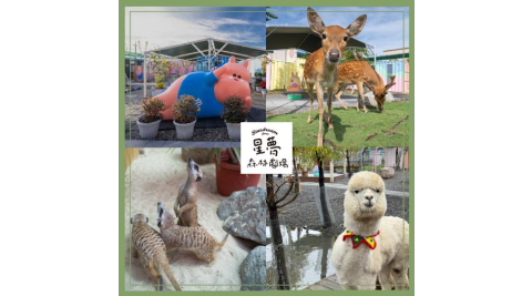 2026宜蘭星夢森林劇場門票 單人敬老票/愛心 優惠票(MO26)