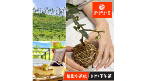 和菓森林/日月潭/親子/體驗