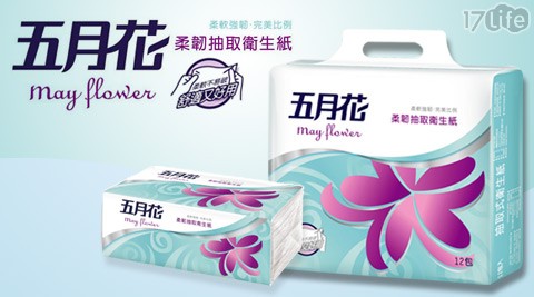 五月花-抽取式