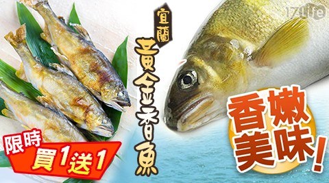 【雙12限定買一送一】宜蘭黃金香魚(1公斤/盒) 2盒共