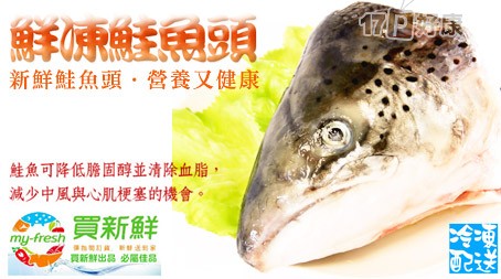 買新鮮-鮮凍鮭魚頭