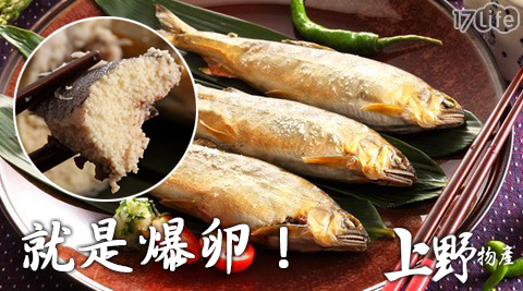 上野物產-宜蘭爆卵母香魚