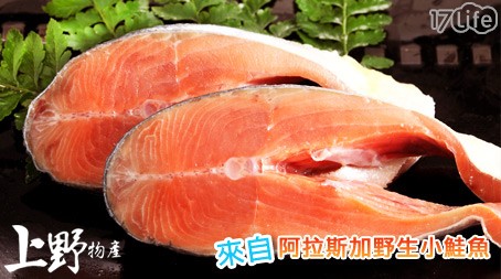 [24H到貨]上野物產-阿拉斯加野生小鮭魚