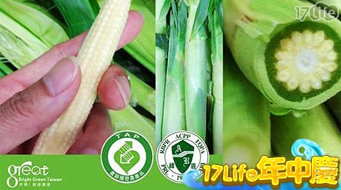 鮮綠農產-終極鮮嫩帶葉水果玉...