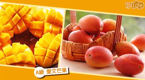 正宗玉井-A級愛文芒果